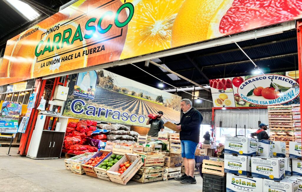 Las ventas de frutas y verduras caen en Mendoza por los aumentos de precios y la falta de regulación
